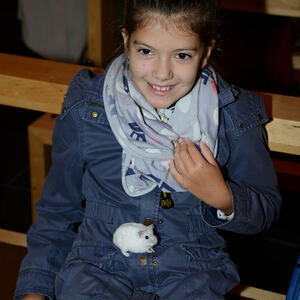 Fest des Hl. Franz von Assisi