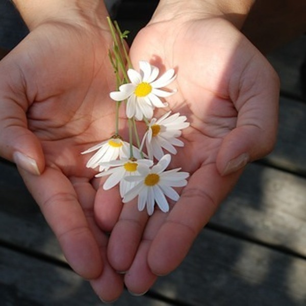 Hände Blumen