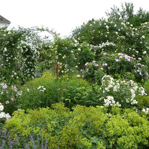 Seniorenausflug ins Mostviertel