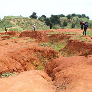 Pilgerreise nach Apulien