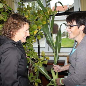 Pfarre Neumarkt im Mühlkreis