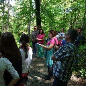 Firmvorbereitung und Firmung