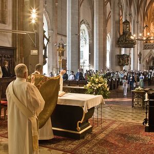 555 Jahre Stadtpfarrkirche St. Stephan