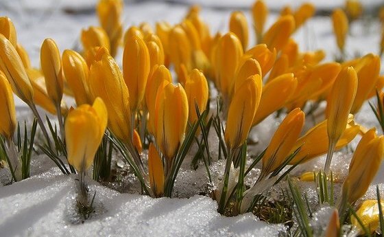 Wiederaufnahme der öffentlichen Gottesdienste