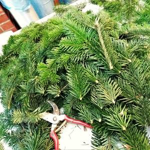 3. Reisigästchen schneiden