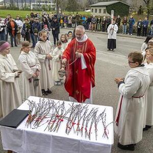 Palmsonntag 2025