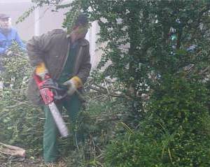 Grünanlage Friedhof