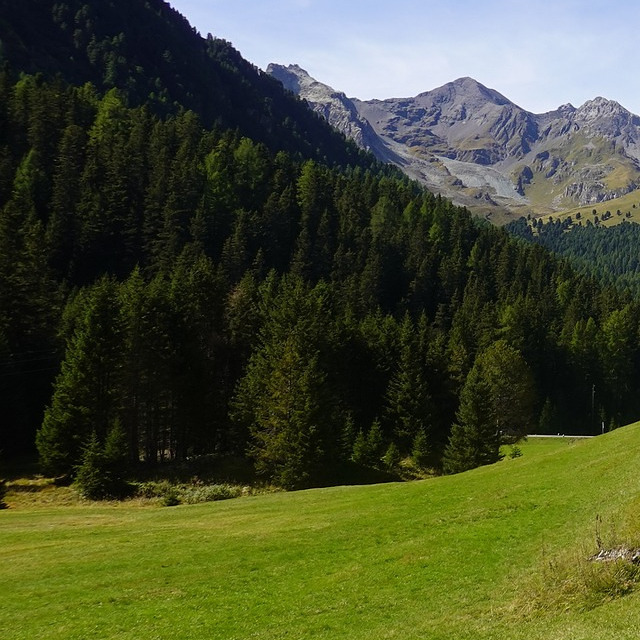 Beratung - Referenzen