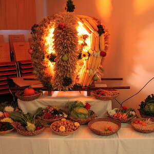 Pfarre Neumarkt im Mühlkreis