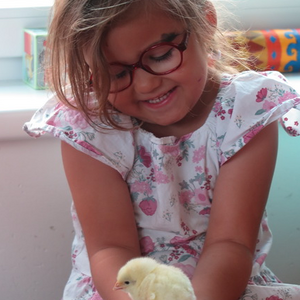 Kinder dürfen Küken halten