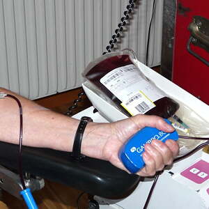 Blutspendeaktion des Roten Kreuzes