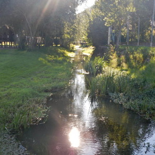 Gottes Licht erstrahlt