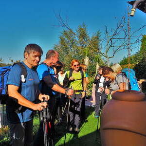 14. bis 15 Okt. 2017