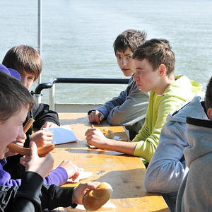 Firmprojekt Hochbeet