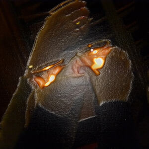 Wenn Gebet Bewegung wird