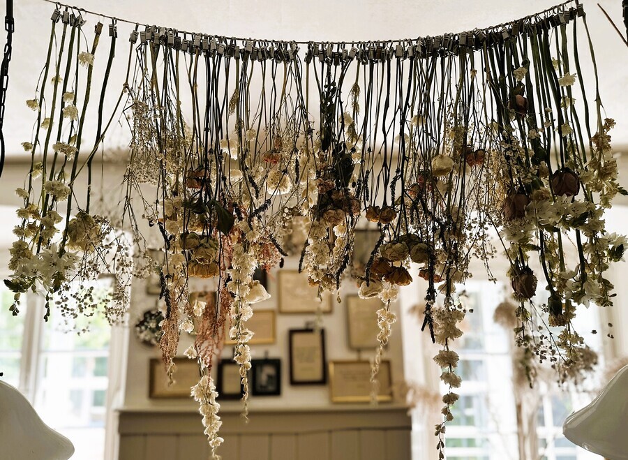 © Bibliotheksfachstelle