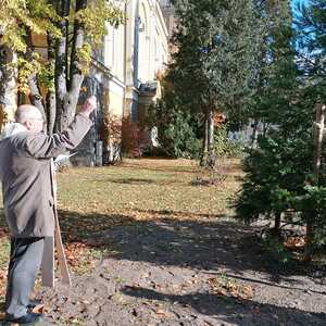 Segnung des Baumes vor der Quirinuskirche