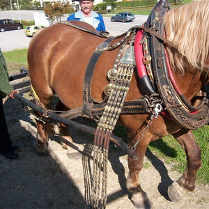 Ausflug der Pfarre Bruckmühl