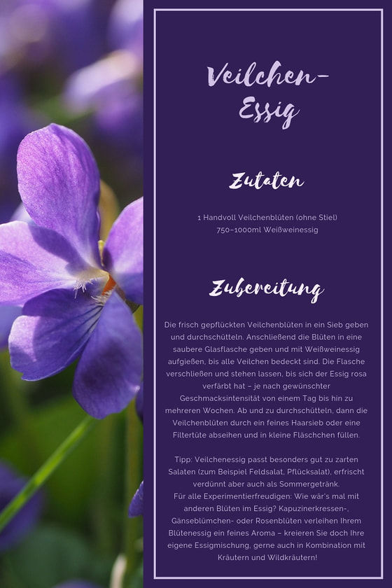 Veilchen-Essig