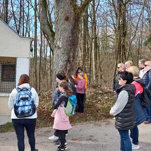 Kreuzweg am Pöstlingberg