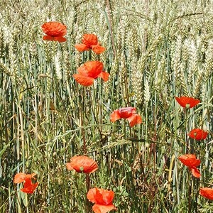 Betriebsausflug 2020