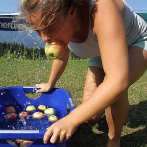 Jungschar- und Ministrantenlager in Roßleiten