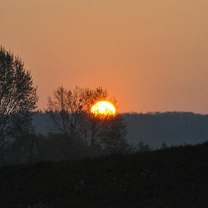 Emmausgang in den Ebelsberger-Traunauen