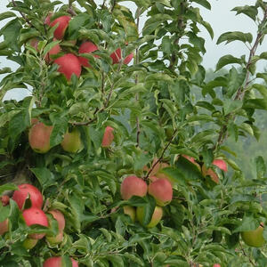 Redaktionsausflug Scharten