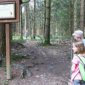 Naturerlebnisweg Pfarrwald Vöcklabruck