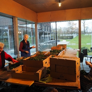 OLYMPUS DIGITAL CAMERA         