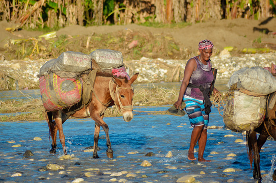 MIVA-Jahresbilanz 2025: 252 Mobilitätsprojekte in 53 Ländern