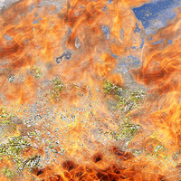 Brennender Dornbusch / Martin Manigatterer / Pfarrbriefservice.de https://www.pfarrbriefservice.de/image/brennender-dornbusch-0?vm=download&rdm=k_UawuZVjV_w