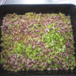 Fotoworkshop mit Andrea Groisböck