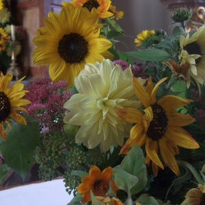 Erntedankfest und Ehejubiläen 2008