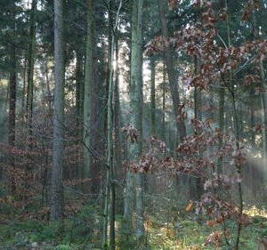 Wallfahrt nach Altötting