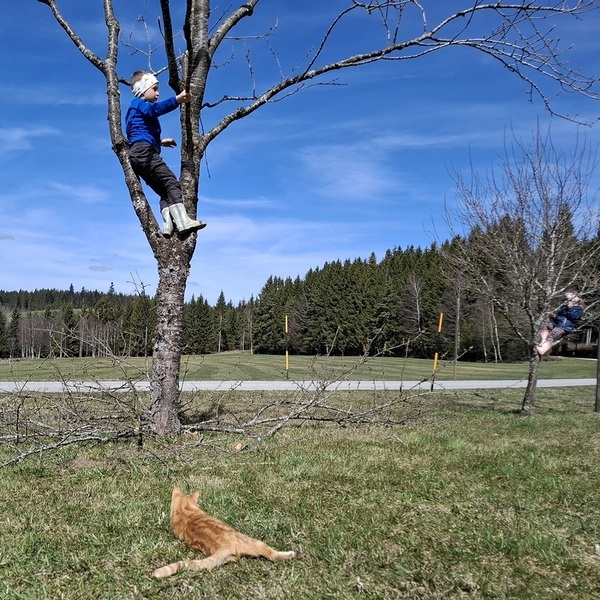 Einfach mal abhängen