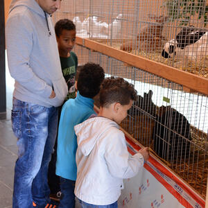 Fest des Hl. Franz von Assisi