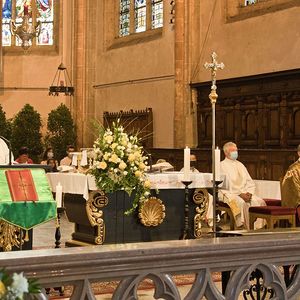 555 Jahre Stadtpfarrkirche St. Stephan