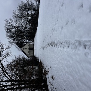 Kreuzwegandacht am Tannberg