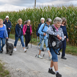Fußwallfahrt der Pfarre Heilige Familie Wels nach Maria Fallsbach