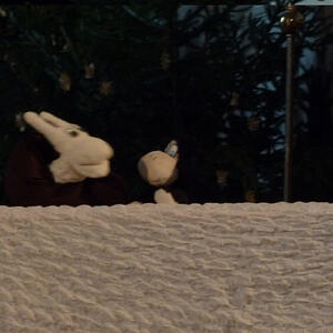 Reise der Schnecke Penelope