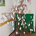 Bibelsonntag 2019 in der Pfarre Hellmonsödt