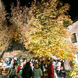 Pfarrcaritaskindergarten Sarleinsbach