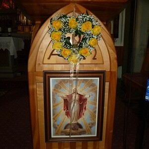 Bezirksgoldhaubentreffen 2013 