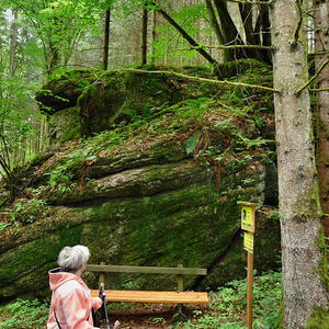 des Männerstammtisches