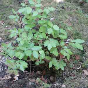 meditative Pilgerwanderung 28.4.18