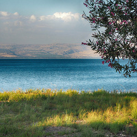 See Gennesaret