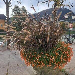 KFB-Herbstwallfahrt nach Lauffen und Bad Ischl