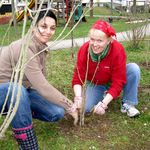 Arbeiten am Familienspielplatz