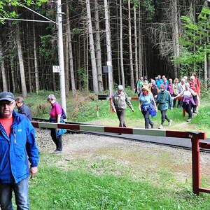 im Stierlingerwald, Gem. Bürmoos